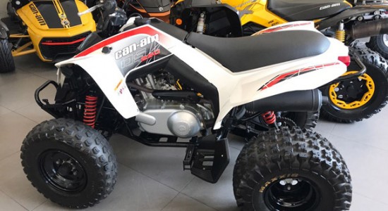 ds250destaque2